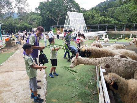 牽起小朋友的手一起參觀農場與小動物互動。